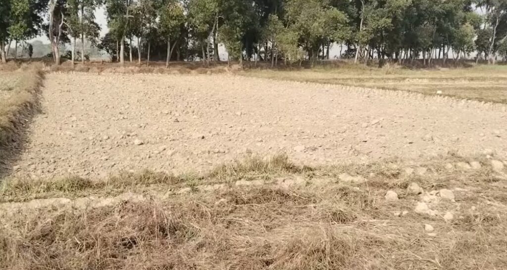 ছাগলনাইয়া পৌরসভায় চলছে কৃষি জমির মাটি কাটার মহোৎসব