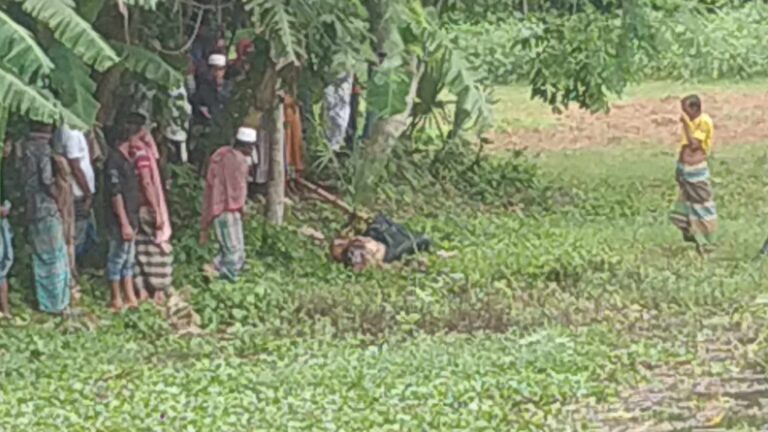 রাজবাড়ীতে পুকুর থেকে অজ্ঞাত যুবকের মরদেহ উদ্ধার