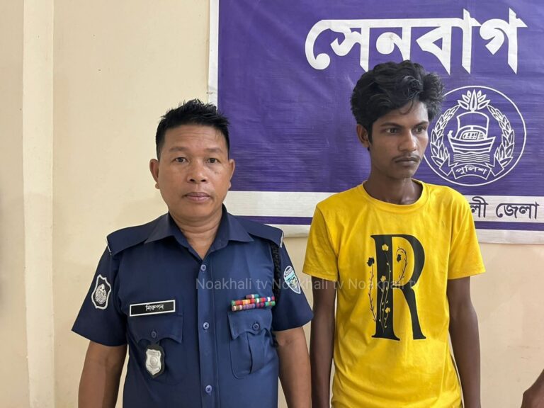 সেনবাগে যৌথ বাহিনীর অভিযানে মাদক ব্যবসায়ী গ্রেফতার