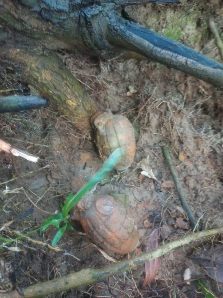 ফুলগাজী আমজাদ হাট ২টি পরিত্যক্ত হ্যান্ড গ্রেনেড উদ্ধার