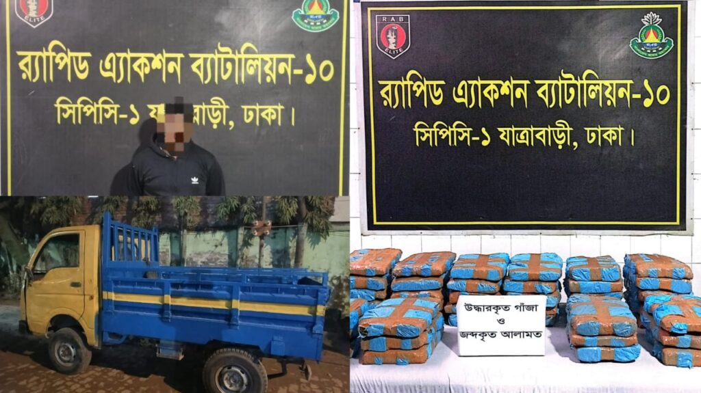 ১২ লক্ষ ৬০ হাজার টাকা মূল্যের ৪২ কেজি গাঁজাসহ ০১ জন মাদক ব্যবসায়ীকে গ্রেফতার করেছে র‌্যাব-১০ ব্যবহৃত পিকআপ জব্দ