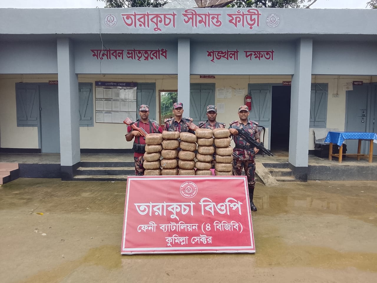 ফেনী সীমান্তে বিজিবি’র অভিযান: ৫৬ কেজি ভারতীয় গাঁজা জব্দ