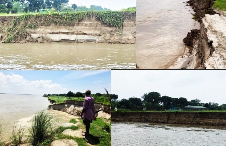 চাঁপাইনবাবগঞ্জে পদ্মার ভয়াল ভাঙন: বিলীন দুই শতাধিক ঘরবাড়ি, স্থায়ী বাঁধ নির্মাণের কাজ শুরু শিগগিরই