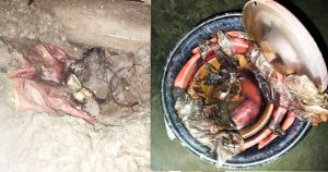 চাঁপাইনবাবগঞ্জে বাড়িতে মজুদ ককটেল বিস্ফোরণ, হতাহত নেই