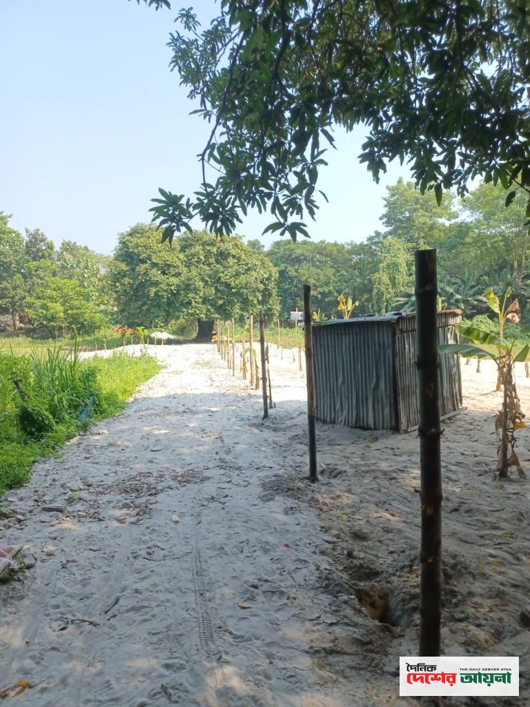 কালীগঞ্জে ভূমি কর্মকর্তার নির্দেশ অমান্য করে বিরোধপূর্ণ জমিতে বাঁশের খুঁটি স্থাপনের অভিযোগ