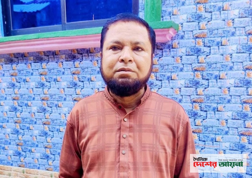 বুড়িচংয়ে জামগাছের ডাল কাটতে গিয়ে বিদ্যুৎস্পৃষ্টে বিএনপি নেতার মৃত্যু