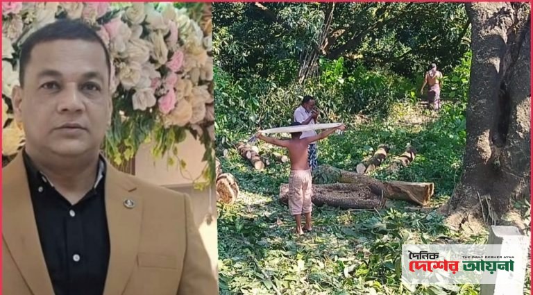 চাঁপাইনবাবগঞ্জে অংশীদারদের না জানিয়ে ৩ আমগাছ বিক্রির অভিযোগ