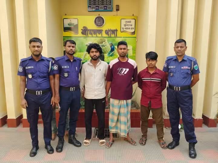 শ্রীমঙ্গলে কিশোরীকে রাতভর আটকে রেখে দলবদ্ধ ধর্ষণ, গ্রেপ্তার ৩ জন